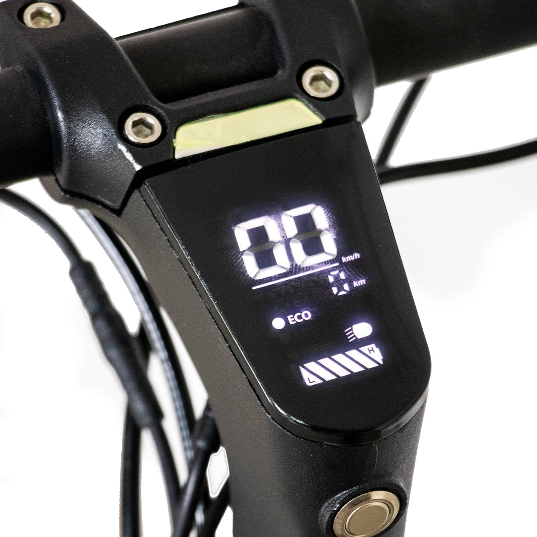 Zoom 500 – Potencia, estilo y libertad en cada trayecto